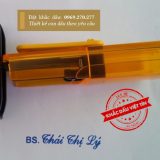 Mẫu USB BS.Thái Thị Lý